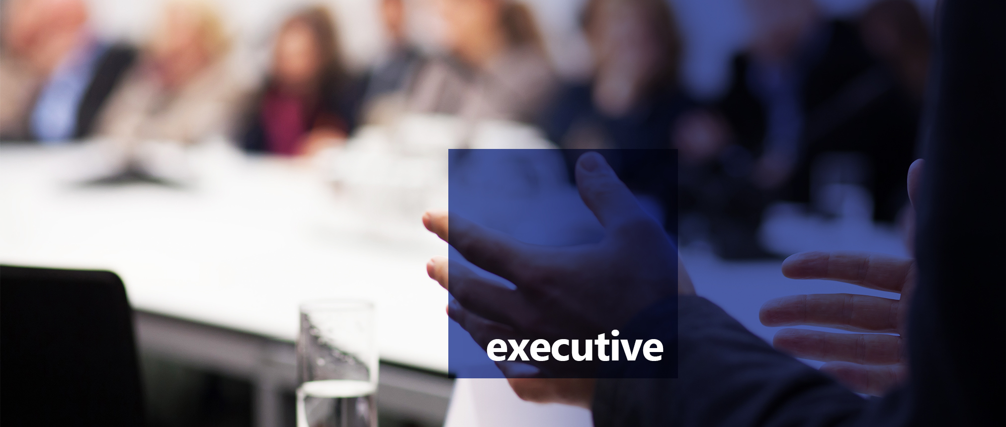 Executive Landing Page
